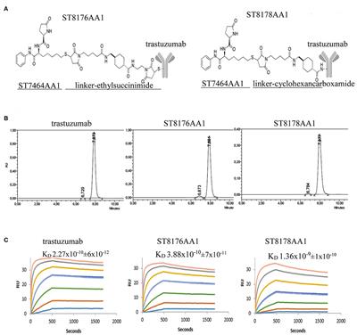 ErbB2 Targeted Epigenetic Modulation: Anti-tumor Efficacy of the ADC Trastuzumab-HDACi ST8176AA1